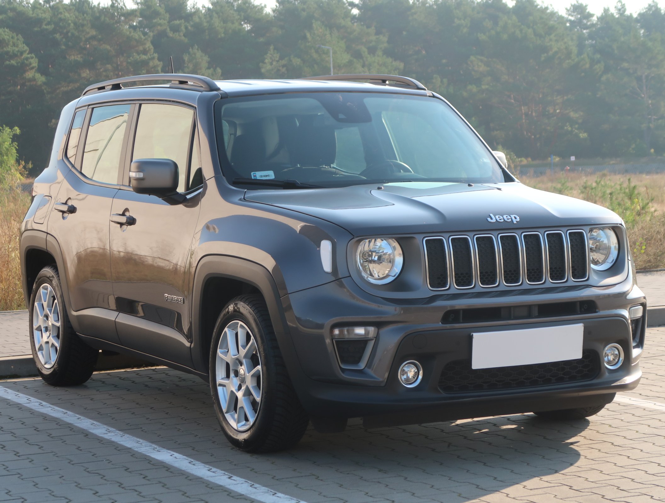 Jeep Renegade 1.3 GSE T4 SUV 2019 - 1